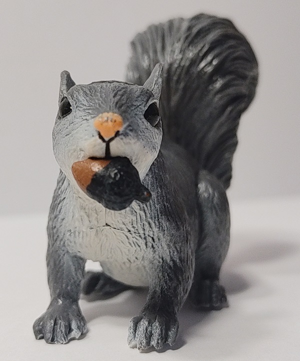 Safari Gray Squirrel with acorn in mouth