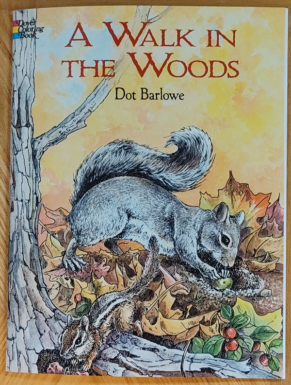 A Walk In The Woods Coloring Book