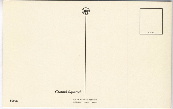 Back of Nutty Over Nuts Ground Squirrel eating Nuts Vintage Postcard