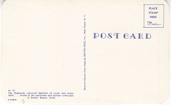 Back of The Chipmunk Friend of the Outdoor Enthusiast Vintage Postcard